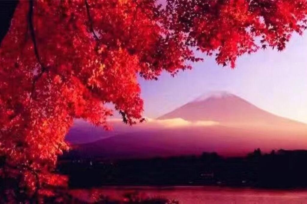 山中湖村Away From Noise,View Fuji Mt In The Designer House别墅 外观 照片
